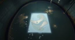 water contaminants reveal facility issues