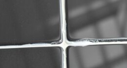 gentle grout line cleaning