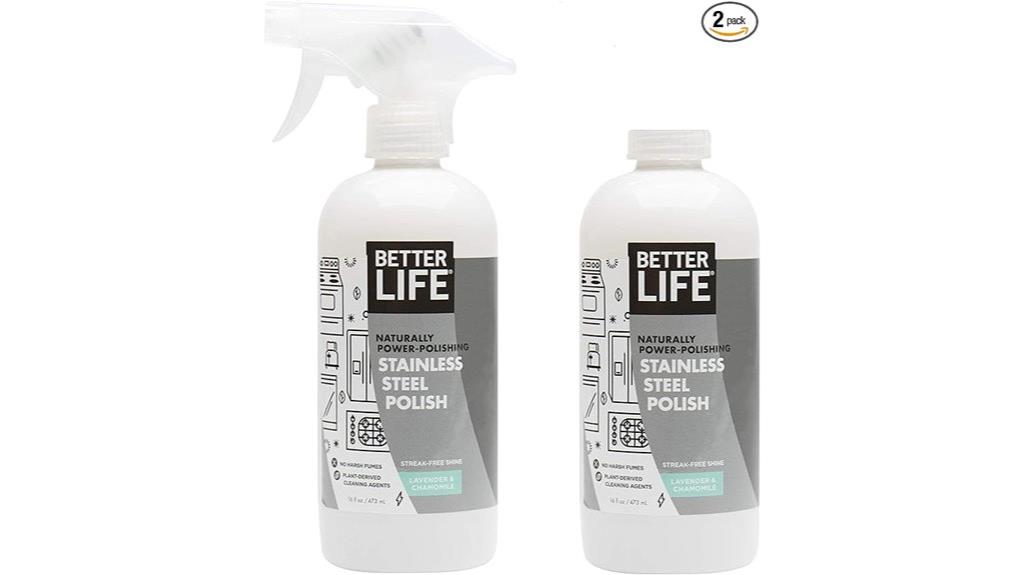 stainless steel cleaner pack