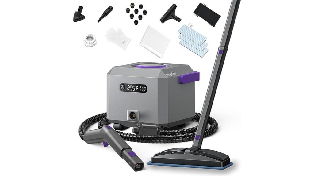 steam cleaning with accessories