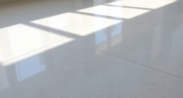 gentle dry floor cleaning