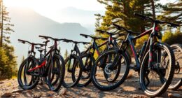 luxury downhill mountain bikes