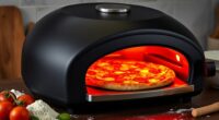 top counterpizza ovens 800 c