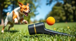 top dog toy launchers