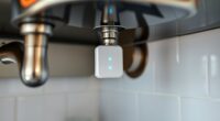top leak sensors for home