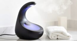 top spa quality facial steamer