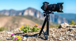top travel tripod picks