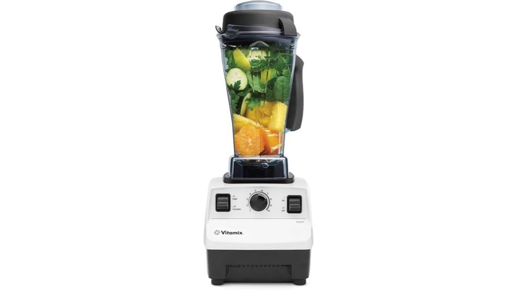 professional grade kitchen blender