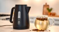 top electric kettles with precise control