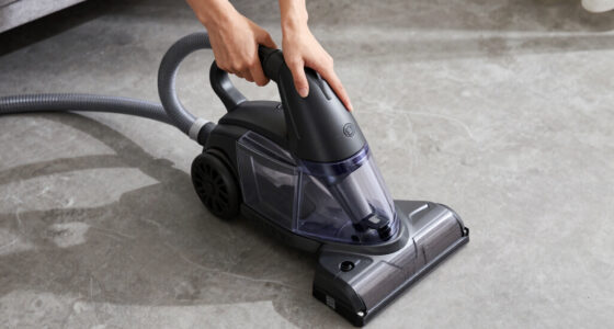 7 Best Portable Carpet Extractors for 2026
