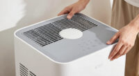 7 Best Restoration Dehumidifier in 2026