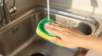 8 Best Best Scrubber Pads Bulk Commercial in 2026