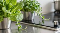 food plants equipment approach