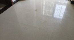 frequent thorough floor cleaning