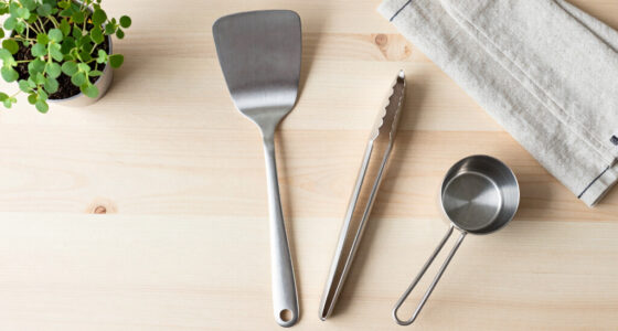 Zara Just Dropped Chic Silver Kitchen Must-Haves For Under $20