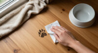 15 Best Pet Cleaning Wipes in 2026